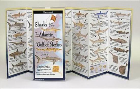 Wall Chart Sharks, Skates, & Rays of the Atl. & Gulf of Mex. Book