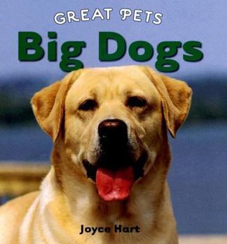 Library Binding Big Dogs Book
