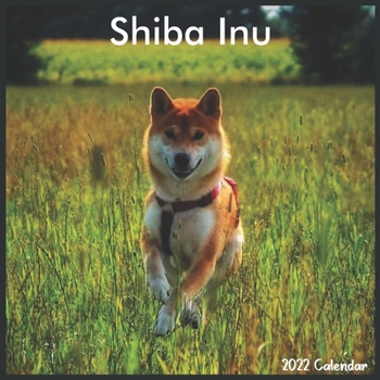 Shiba Inu 2022 Calendar: Official Shiba Inu Dog breed Calendar 2022, 16 Months