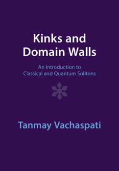 Paperback Kinks and Domain Walls Book
