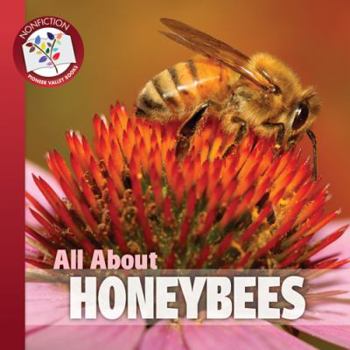 Paperback All About Honeybees Book