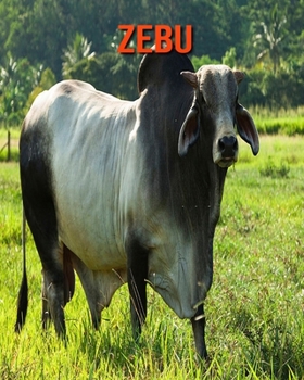 Paperback Zebu: Amazing Facts about Zebu Book