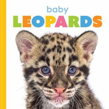 Paperback Baby Leopards Book