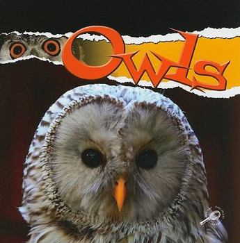 Paperback Owls Book