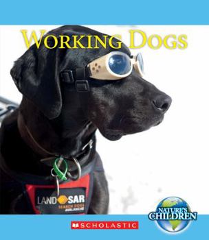 Paperback Working Dogs Book