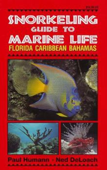 Paperback Snorkeling Guide to Marine Life Florida, Caribbean, Bahamas Book