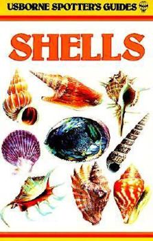 Paperback Shells Book