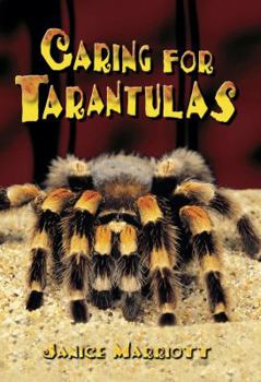 Paperback Caring for Tarantulas [New Heights] Book