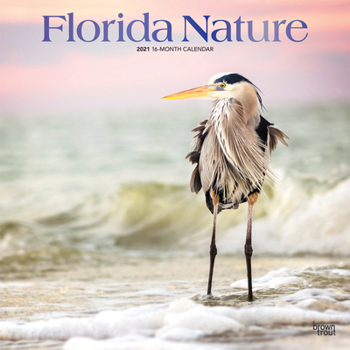 Calendar Florida Nature 2021 Square Foil Book