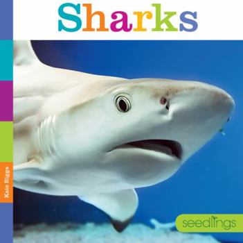 Sharks - Book  of the Seedlings