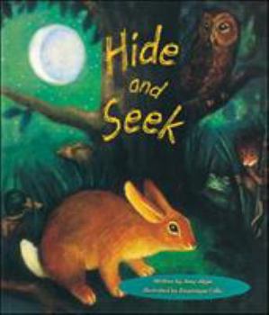 Hardcover Storyteller Lap Books, Hide and Seek Book