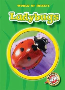Ladybugs (World of Insects) - Book  of the World of Insects