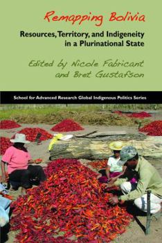 Paperback Remapping Bolivia: Resources, Territory, and Indigeneity in a Plurinational State Book