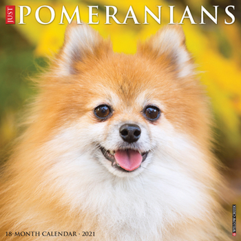 Calendar Just Pomeranians 2021 Wall Calendar (Dog Breed Calendar) Book