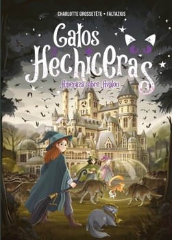 Hardcover Gatos Y Hechiceras - Vol II [Spanish] Book