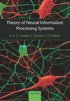 Paperback Theory of Neural Information Processing Systems Book