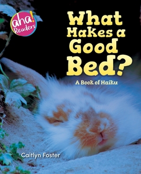 Paperback What Makes a Good Bed?: A book of Haiku Book