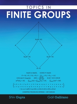 Hardcover Topics in Finite Groups Book