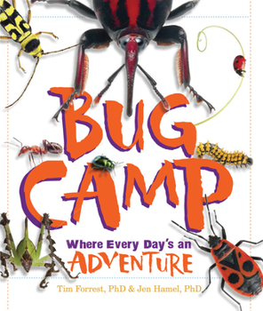 Hardcover Bug Camp: Where Every Day's an Adventure Book