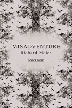 Paperback Misadventure Book