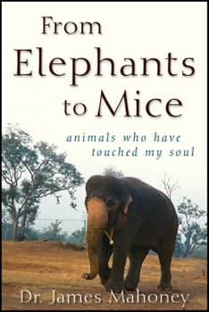 Hardcover From Elephants to Mice: Animals Who Have Touched My Soul Book