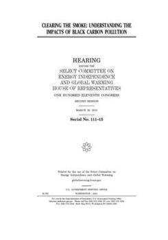 Clearing the smoke  : understanding the impacts of black carbon pollution