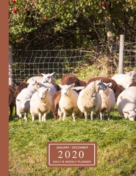 January - December 2020 Daily & Weekly Planner: 1 Year Personal Calendar; Herd Of Sheep