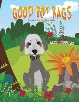 Paperback Good Boy Rags Book