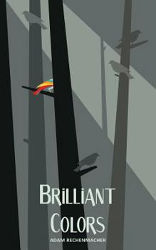 Paperback Brilliant Colors Book