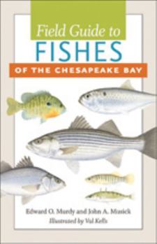 Paperback Field Guide to Fishes of the Chesapeake Bay Book