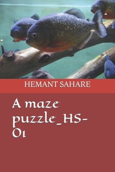 Paperback A maze puzzle_HS-01 Book