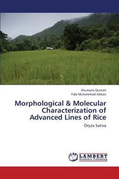Paperback Morphological & Molecular Characterization of Advanced Lines of Rice Book