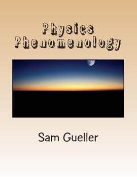 Paperback Physics Phenomenology: From Strings and Beyond Book