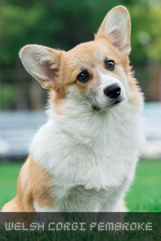 Paperback Welsh Corgi Pembroke: Complete breed guide Book