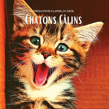 Paperback Regards curieux des Chatons C?lins: Album photo en couleur avec de magnifiques chatons. Id?e de cadeau pour les amoureux des petits f?lins et de la na [French] Book