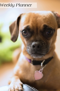 Weekly Planner: Chihuahua Daily Planner Schedule Organizer Agenda 52 weeks 6x9
