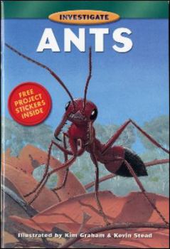 Paperback Ants (Investigate Series) Book