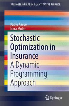 Paperback Stochastic Optimization in Insurance: A Dynamic Programming Approach Book