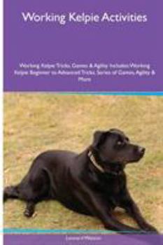 Paperback Working Kelpie Activities Working Kelpie Tricks, Games & Agility. Includes: Working Kelpie Beginner to Advanced Tricks, Series of Games, Agility and M [Large Print] Book