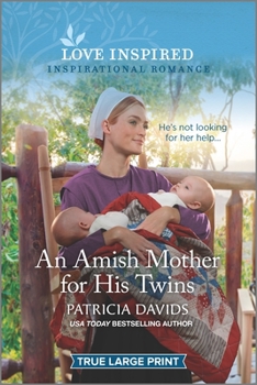 An Amish Mother for His Twins - Book #6 of the North Country Amish