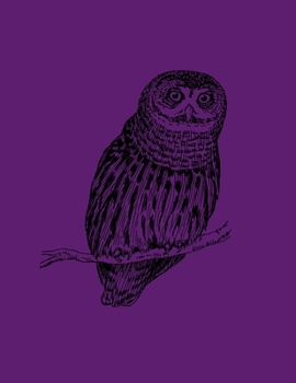 Composition Notebook: Owl design paperback composition Notebook, college ruled paper 8.5"× 11" 140 pages