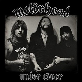 Vinyl Under Cover Book