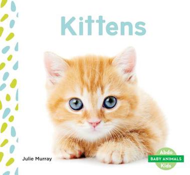 Kittens - Book  of the Baby Animals