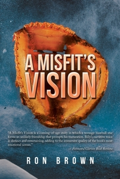 Paperback A Misfit's Vision Book