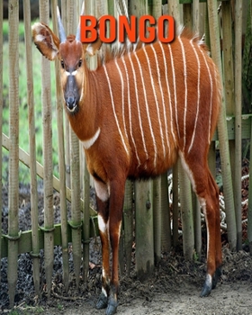 Paperback Bongo: Fun Learning Facts About Bongo Book