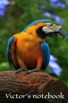 Victor's notebook , journal , size 6x9 , 100 pages: Perfect gift idea