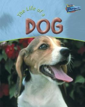 Hardcover Life of a Dog Book