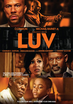 DVD LUV Book