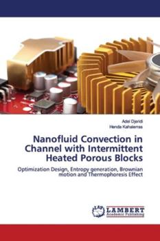 Paperback Nanofluid Convection in Channel with Intermittent Heated Porous Blocks Book