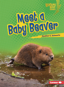 Paperback Meet a Baby Beaver Book
